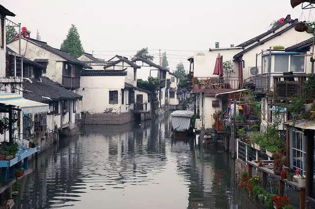 解密吉鹿力问答社区,韭菜素馅怎么调服务你的疑问